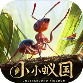 小小蚁国小米版
