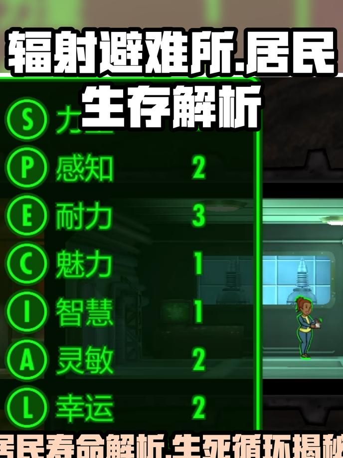 辐射避难所各种属性有什么用