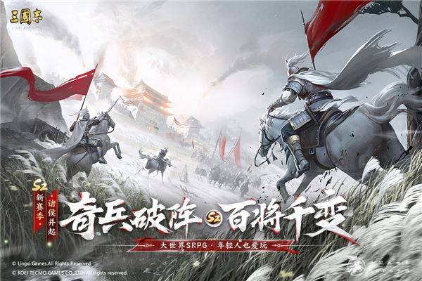 三国志战棋版oppo版游戏截图2
