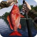 钓鱼大师3D​​​​​​​