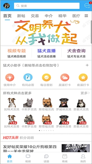 猛犬俱乐部图片1